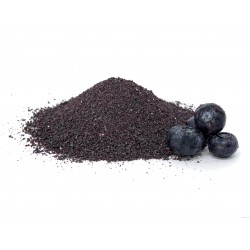 BLUEBERRY POWDER